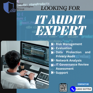 IT Audit Service